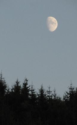 IMG0088