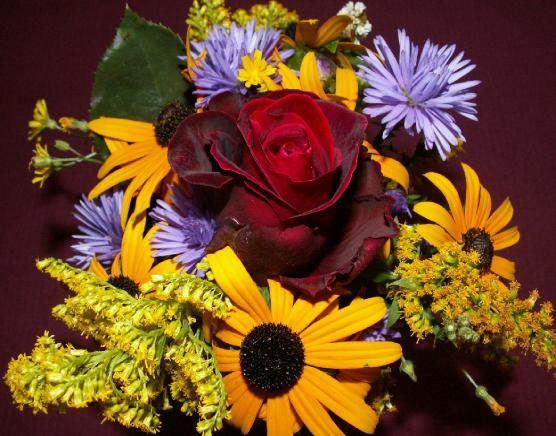 PICT0005481