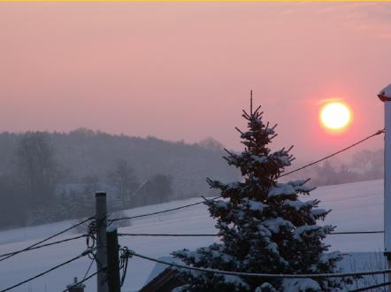 PICT0006505