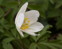 PICT0008504