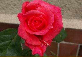 PICT001913