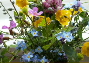 PICT002210
