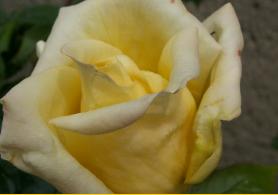 PICT002313