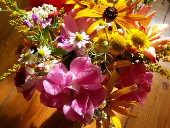 PICT0034200