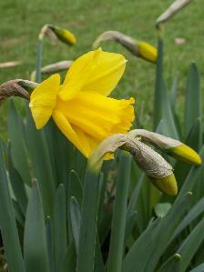 PICT0045163