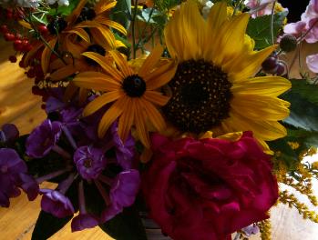 PICT0046138