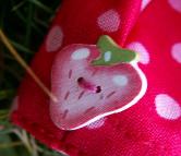 PICT005976