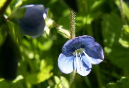 PICT00781