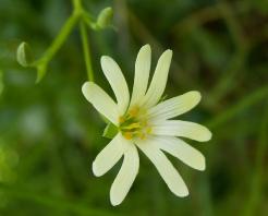 PICT00801