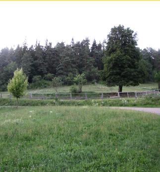 Ritzumgebung2
